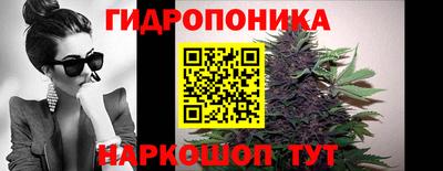 jwh Свободный