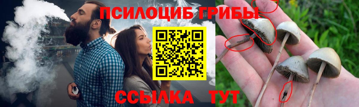 Галлюциногенные грибы Psilocybine cubensis  Вход с VPN  Приморско-Ахтарск 